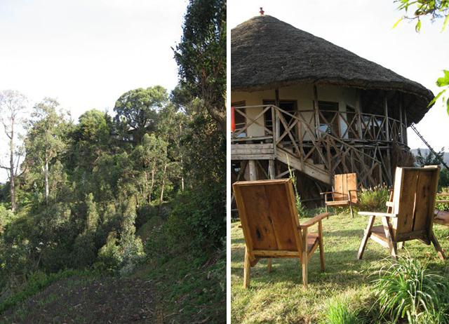 Ankober Palace Lodge activity source photograph 3
